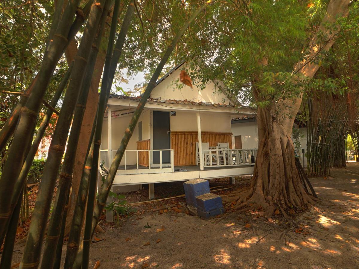 Asia Blue - Beach Hostel Hacienda Ко Панган Екстериор снимка